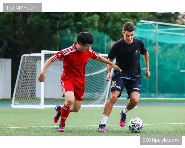 先触球就能免责？解析足球规则中的“优先权”误区