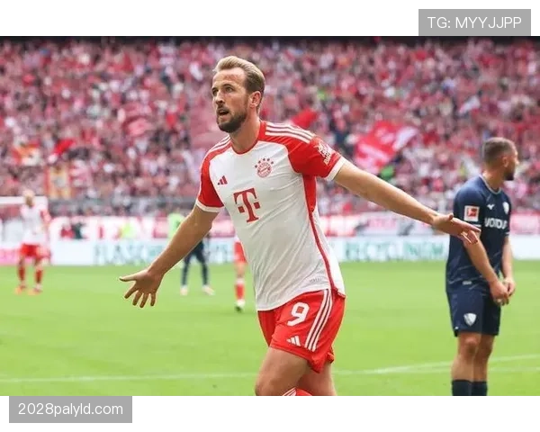 凯恩与哈兰德：终结效率差异背后的战术角色与进攻机制解析