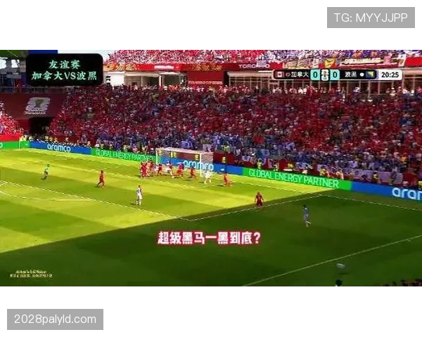 加拿大队能否从黑马变热门